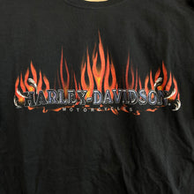 Load image into Gallery viewer, Harley Davidson Flame Spellout Colorado Springs, CO T-Shirt
